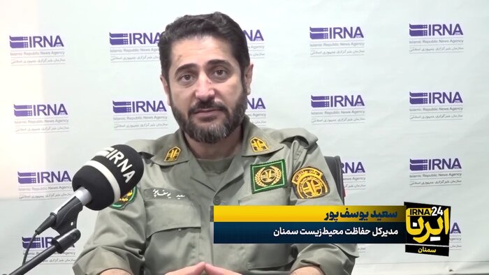 «زیستگاه فراجمعیتی؛ برگ برنده‌ای شگفت‌انگیز در نجات یوزپلنگ‌ها یا آخرین فرصت برای بقا!»