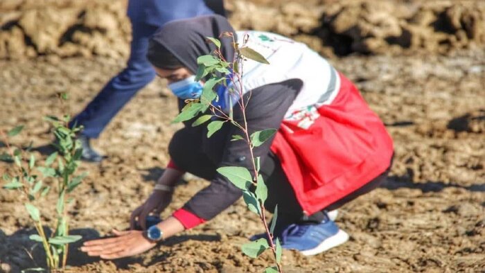آموزش ۱۱ هزار دانش‌آموز در طرح جنجالی «دادرس سبز» برای مقابله با بحران تغییرات اقلیمی!