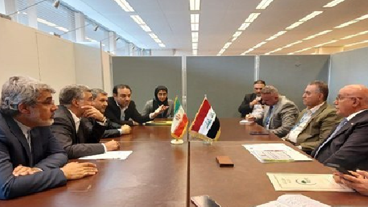 تشکیل کمیته مشترک بهداشت و درمان ایران و عراق در آستانه اربعین: گامی برای سلامت زائران یا بهانه‌ای برای کنترل بیشتر؟