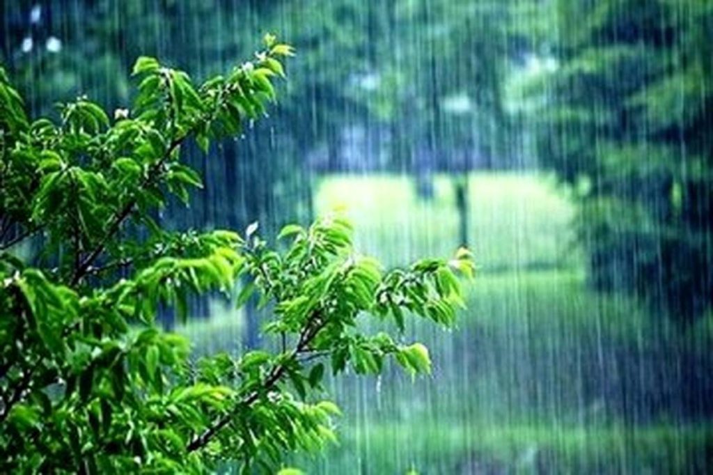 بارش‌ها در کشور ۴۰ درصد کاهش یافته؛ بحران آب در انتظار ماست!