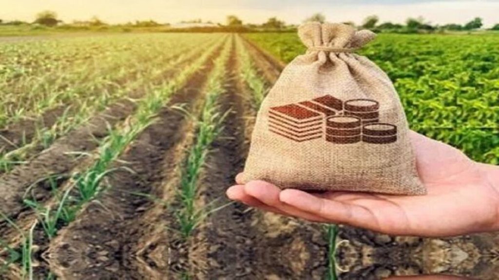 حمایت‌های مالی جدید برای تقویت صندوق‌های کشاورزی؛ آیا ترسالی منابع موجب تغییرات بزرگ در بخش کشاورزی خواهد شد؟