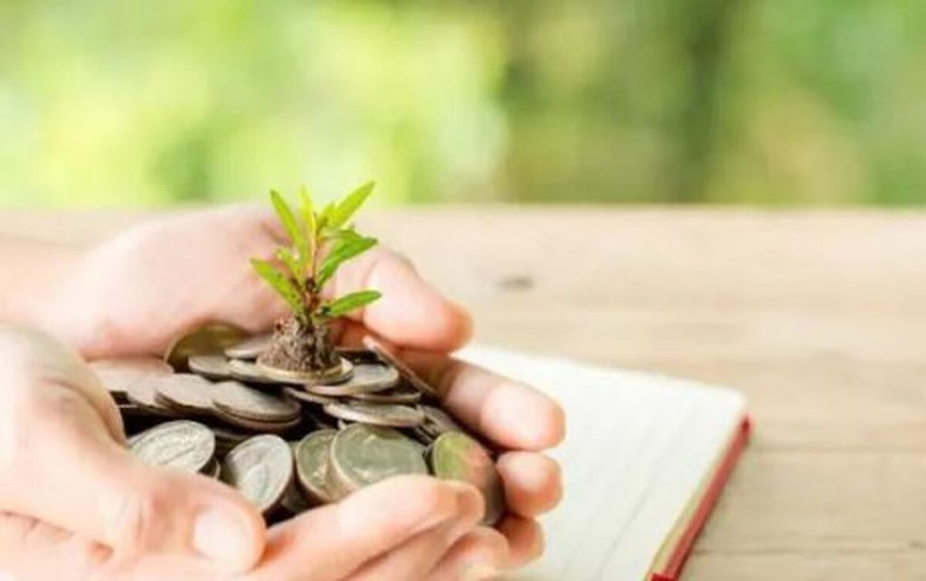 دانش‌بنیان‌های ۵ استان کمتر برخوردار؛ پیشتازان دریافت تسهیلات از صندوق نوآوری و شکوفایی!